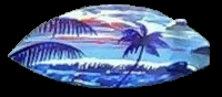 sunset hand painted on surfboard hair barrettes